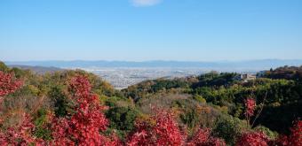 View from Mount Shigi and Chogosonshi-ji (Nara)