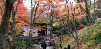 Jojakko-ji (Kyoto), Sueyoshi paved path
