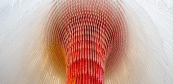 Towada Contemporary Art Museum, Exhibition of contemporary art 3