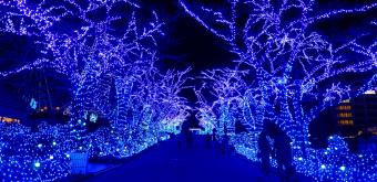 Yomiuriland, Illuminated alley in winter