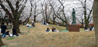 Asukayama Park, Visitors having lunch under the cherry trees