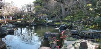 Hase-dera (Kamakura), Japanese garden