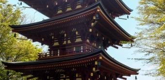 Oka-dera (Asuka), Three-story pagoda in spring