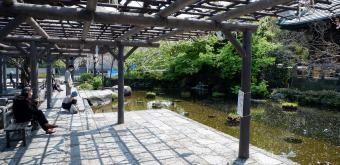 Hana Matsuri in Nishiarai Daishi temple (Tokyo), Wisteria trellis (fujidana)