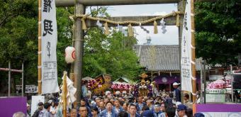 Sanja Matsuri (Tokyo), Mikoshi procession in Asakusa-jinja's grounds