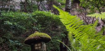 Hokoku-ji temple in Kamakura, Lantern in the garden