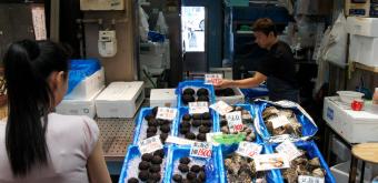 Kuromon Ichiba (Osaka), Hokkaido seafood shop