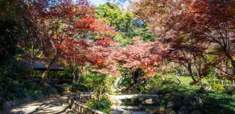 Hamamatsu Castle (Shizuoka), Castle Park 3