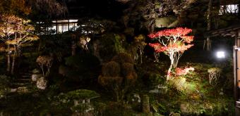 Higashiyama Onsen Mukaitaki, Night view of the Japanese garden in autumn