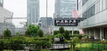 Kotsu Kaikan Coline (Tokyo), View on the wooded terrace 3