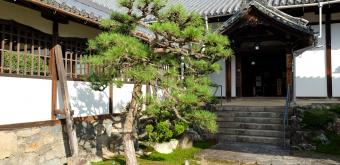 Kosho-ji (Uji), Detail of the garden 2