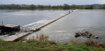 Murakami (Niigata), Dam for catching salmons on Miomote River