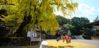 Kibitsu-jinja, A couple shooting pictures under the gingko biloba