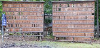 Okamoto-jinja Otaki-jinja shrine in Echizen 5