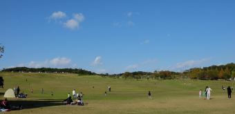 Awaji, Lawn for picnic at Nijigen no Mori Park