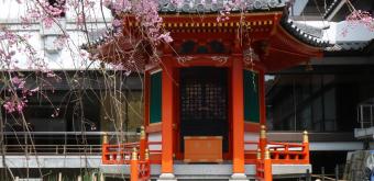 Rokkaku-do (Kyoto), Small vermilion pavilion and blooming cherry trees in spring