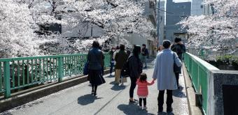 Passersby on Omokage-bashi Bridge