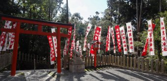 Yoshida-jinja (Kyoto), Torii gate and alley 3