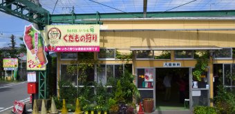 Entrance for strawberry picking at Shirone Grape Garden in Niigata