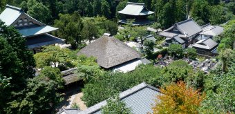 Engaku-ji (Kamakura), View on the temple's pavilions roofs from the cemetery