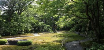 Yoshiki-en (Nara), Moss garden