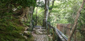 Yoshiki-en (Nara), Paved alley of the garden
