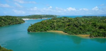 Okinawa Honto, Subtropical landscape in the area of the new Junglia theme park