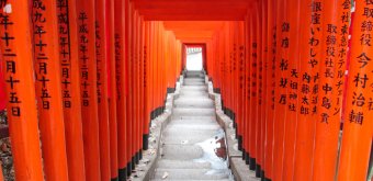 Hie-jinja (Tokyo), Vermilion torii gates alley at the secondary Inari shrine 2