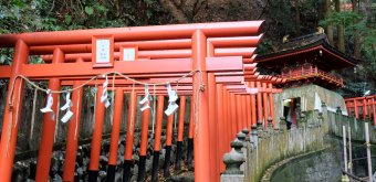 Tanukidani-san Fudo-in (Kyoto), Red torii gates tunnel at Hakuryu Benzaiten shrine