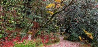 Shisen-do (Kyoto), View on the garden in autumn