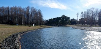 Katsushika (Tokyo), Mizumoto Park on the bank of the Edo-gawa River in winter 3