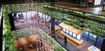 Yaesu (Tokyo), Hanasaka Square atrium in Yanmar Tokyo's building