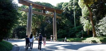 Meiji-jingu, Great torii gate 4