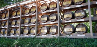 Meiji-jingu, French wine barrel wall 