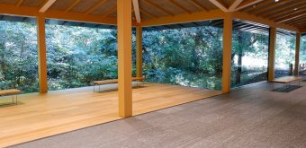 Meiji Jingu Museum, View on the forest from the museum 2