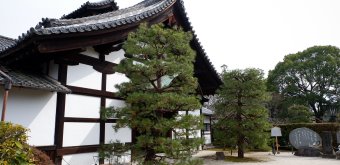 Zuishin-in (Kyoto), Kuri pavilion at the entrance of the temple