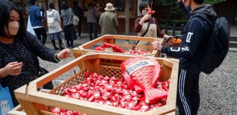 Kawagoe Hikawa-jinja, Sea bream-shaped omikuji dolls