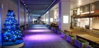 Akita Prefectural Art Museum, Surroundings of the museum at Christmas time