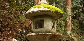 Takao (Kyoto), Stone lantern covered in moss on Kozan-ji temple's grounds