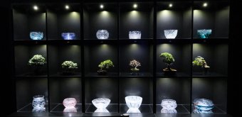 Art Aquarium Museum GINZA (Tokyo), Exhibition of bonsai and Edo-kiriko glasswares