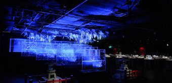 Art Aquarium Museum GINZA (Tokyo), Goldfish Waterfall and Goldfish Stone Lantern