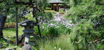  Horikiri Shobu-en (Tokyo), View on the Japanese garden in June