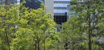 Grand Green Osaka (Umeda), View on the semi-circular lawns in the southern side of Umekita Park 2
