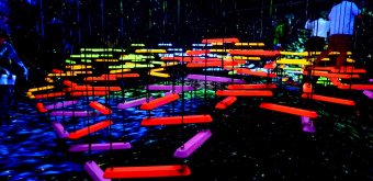 teamLab Biovortex Kyoto, Athletics Forest, Aerial Climbing through a Flock of Colored Birds