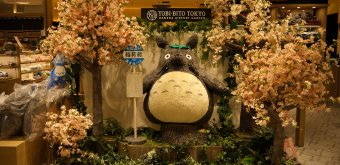 Haneda Airport Garden (Tokyo), Photo spot featuring Totoro and sakura flowers