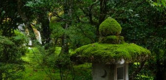 Nata-dera (Ishikawa), Stone lantern covered in moss