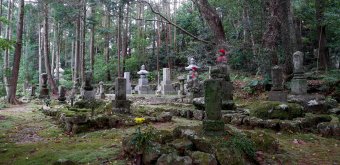 Chikurinji Kochi 14