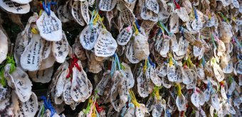 Kamakura, Oyster-shell ema plates at Hase-dera temple