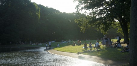 Yoyogi Park in Tokyo, People enjoying the shade of trees and pond in summer