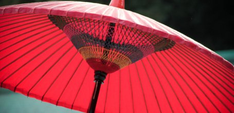 Meiji-jingu, Traditional Japanese Umbrella
